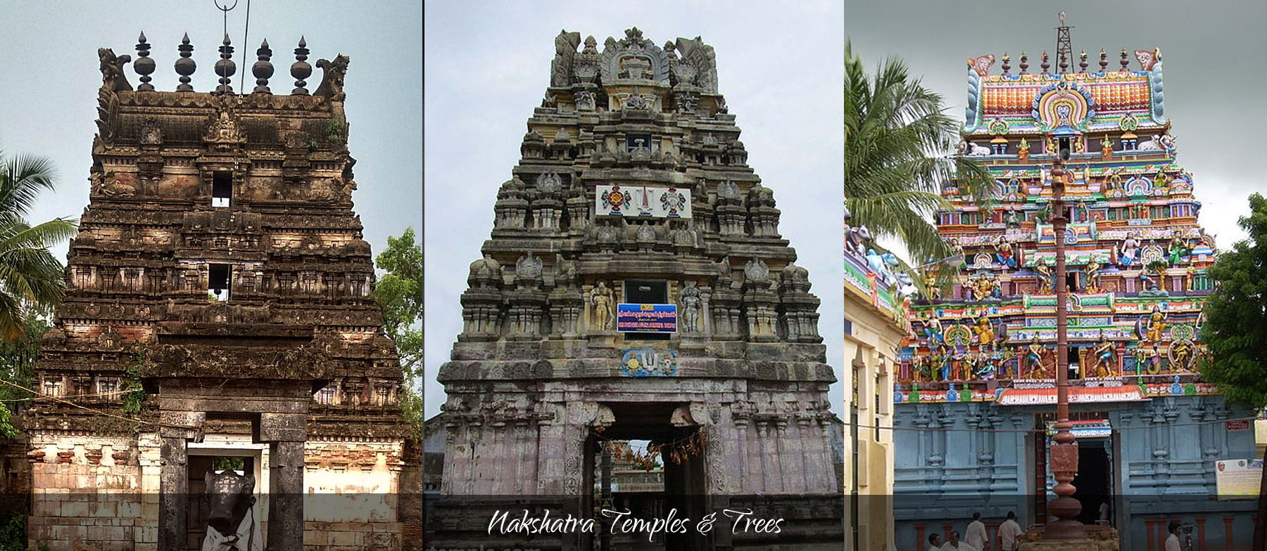 Nakshatra Temples and Trees