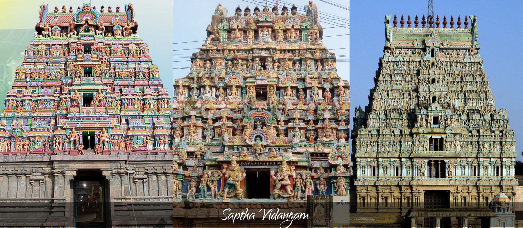 Saptha Vidangam