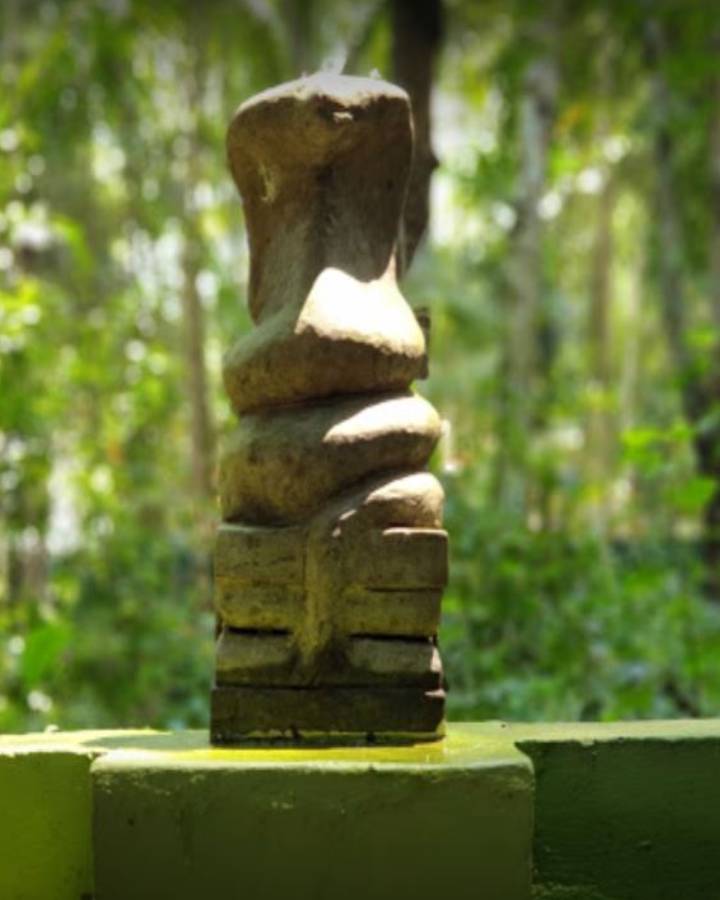 Mannarasala Sree Nagaraja Temple