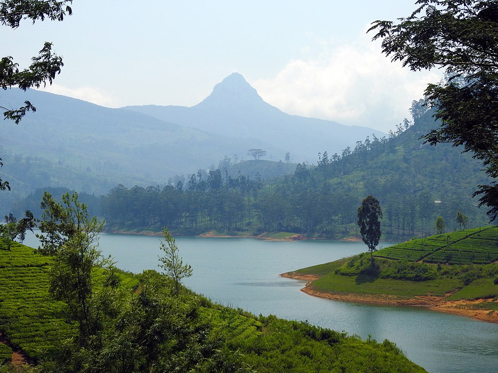 Adam's Peak