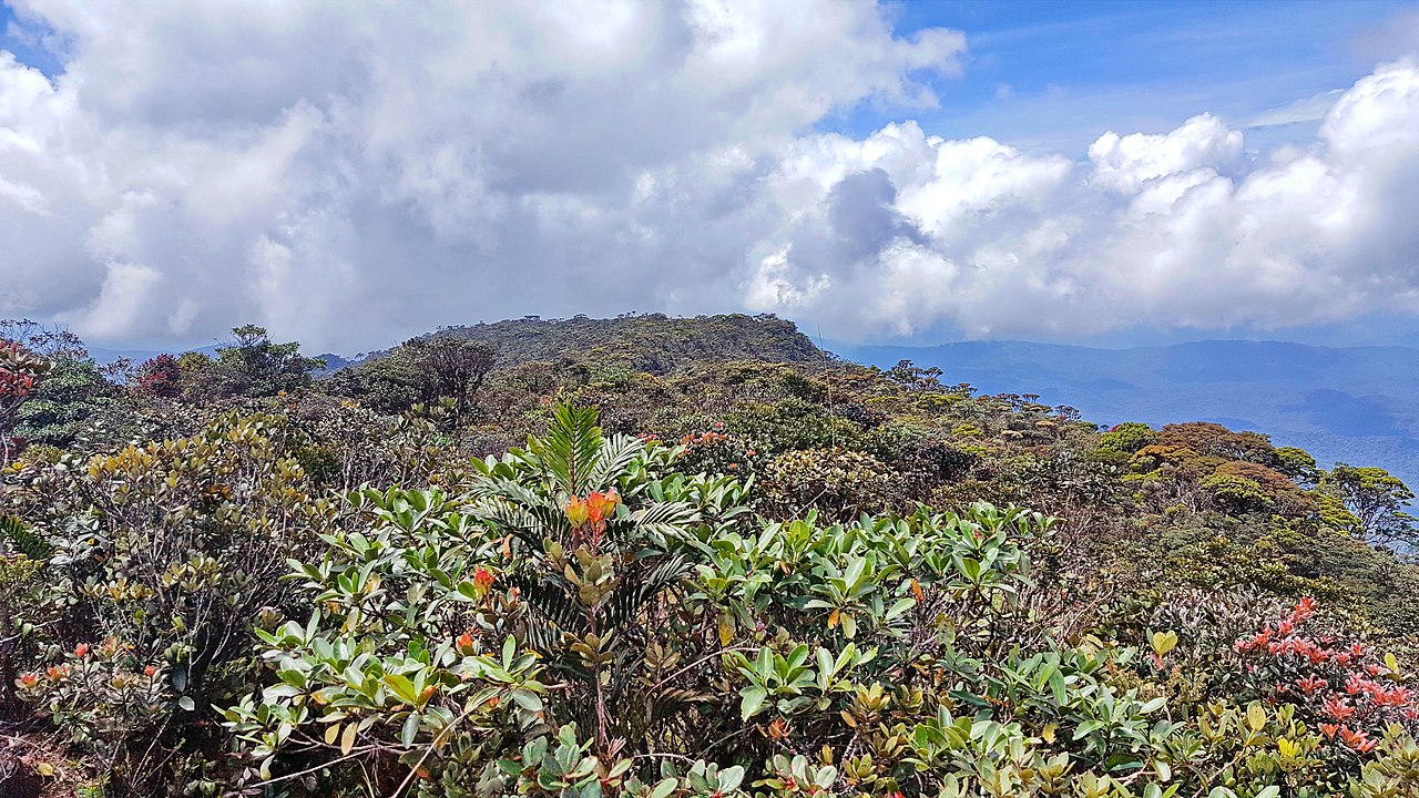 Mount Murud