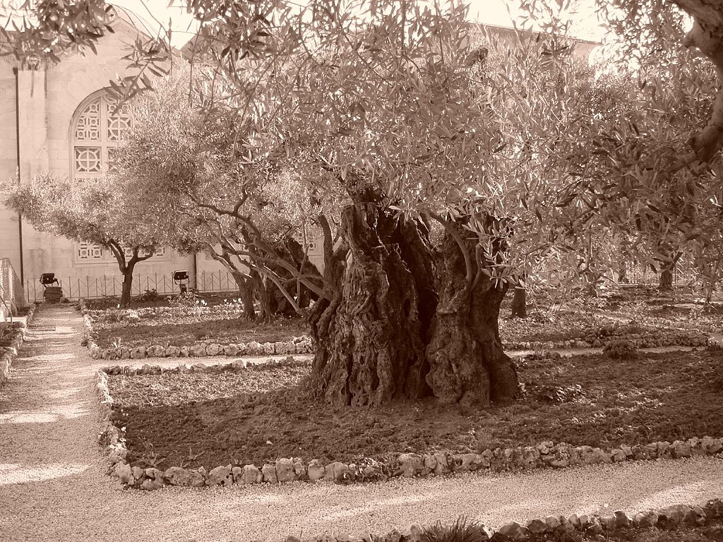Mount of Olives