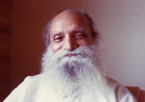 Dhyanyogi Madhusudandas