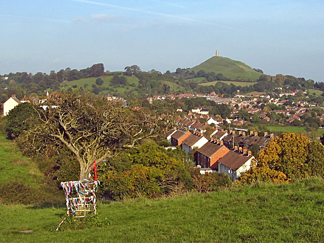 The Holy Thorn Tree of Glastonbury