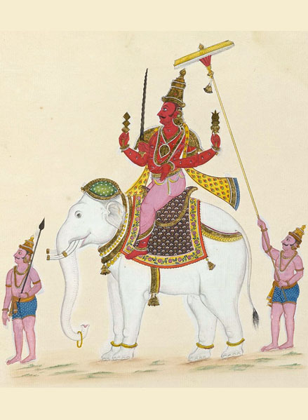 Elephant