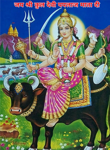 Gaur