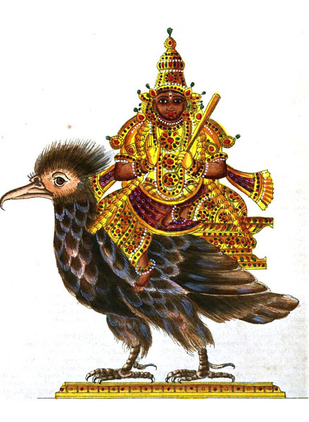 Vulture